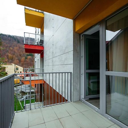 L&V Family Studio Apartment Sinaia Exterior photo