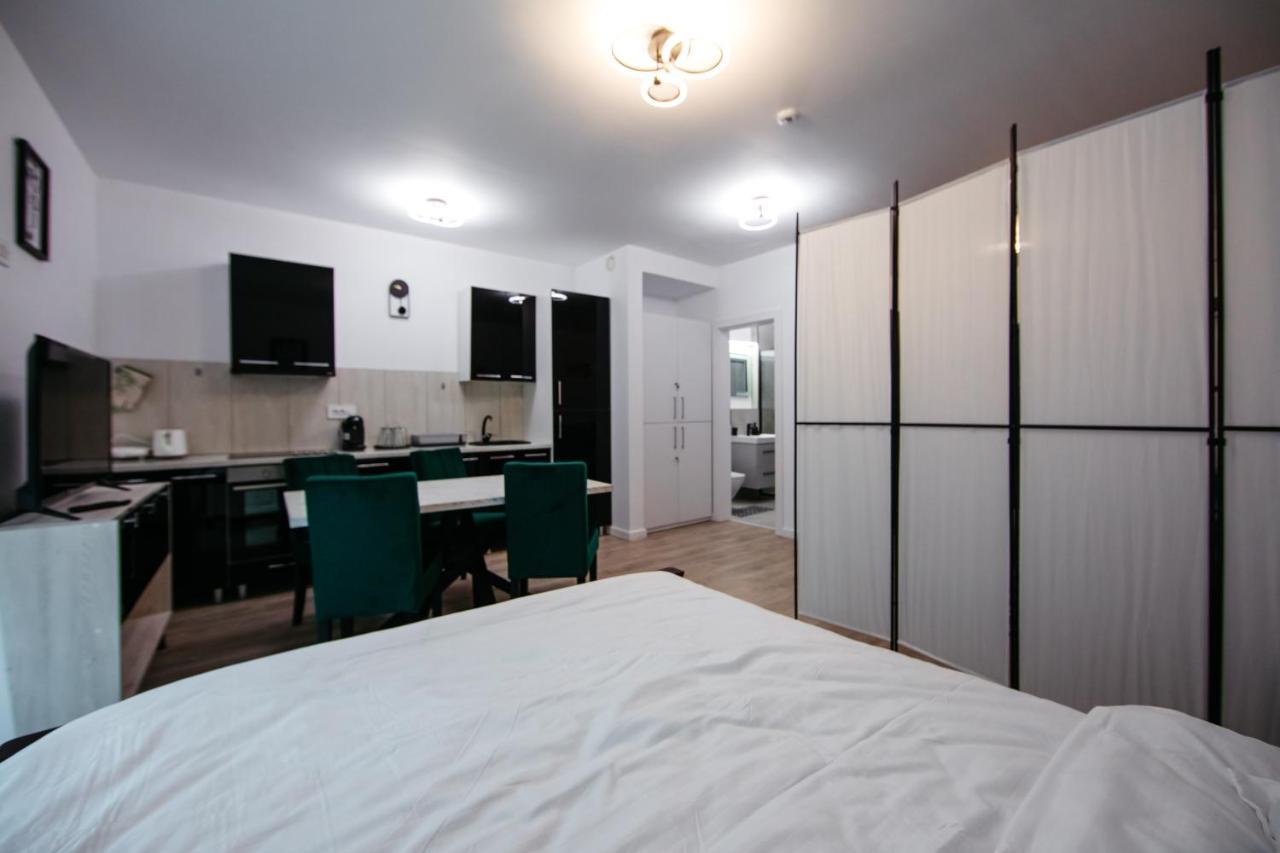 L&V Family Studio Apartment Sinaia Exterior photo