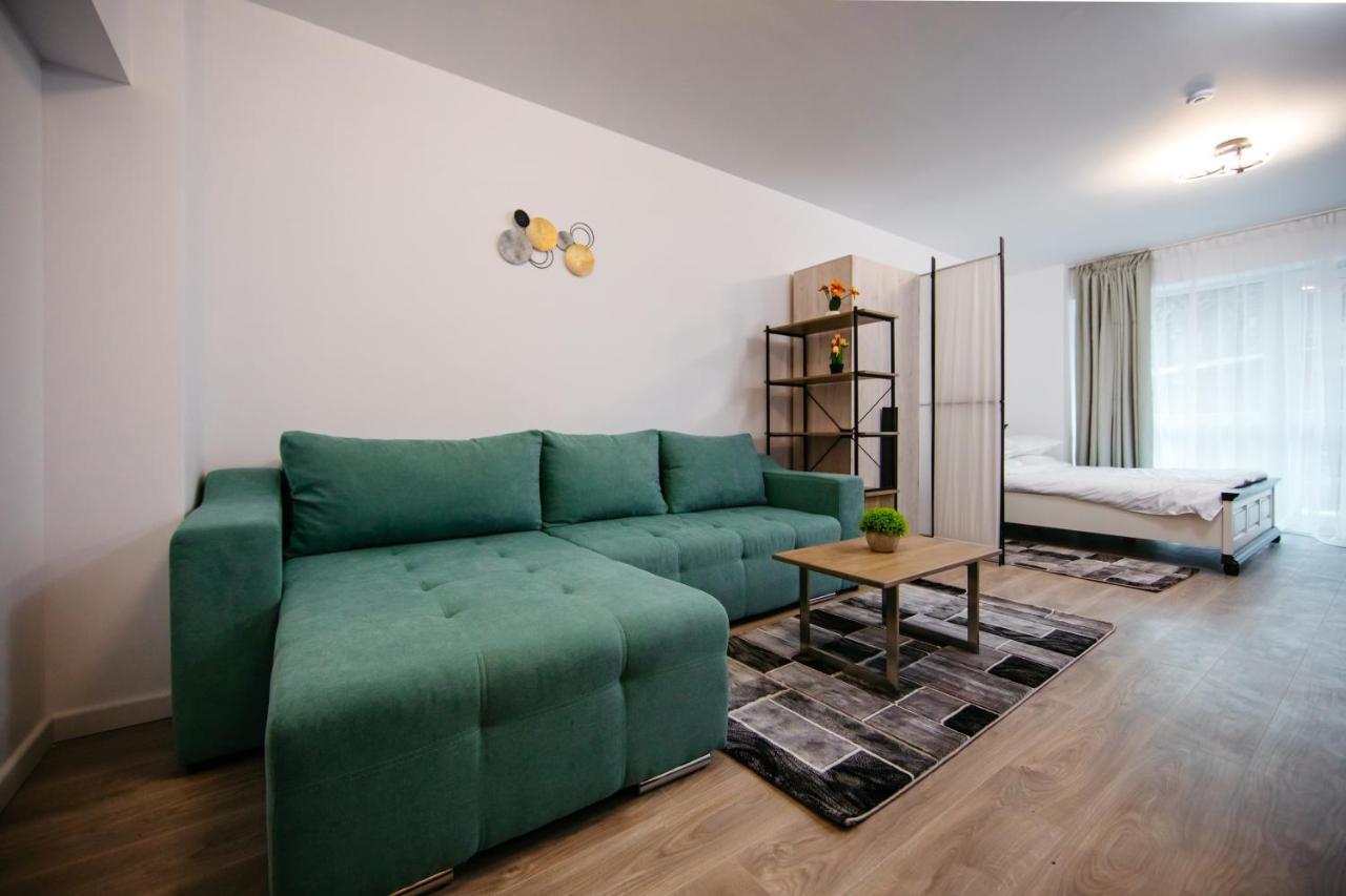 L&V Family Studio Apartment Sinaia Exterior photo