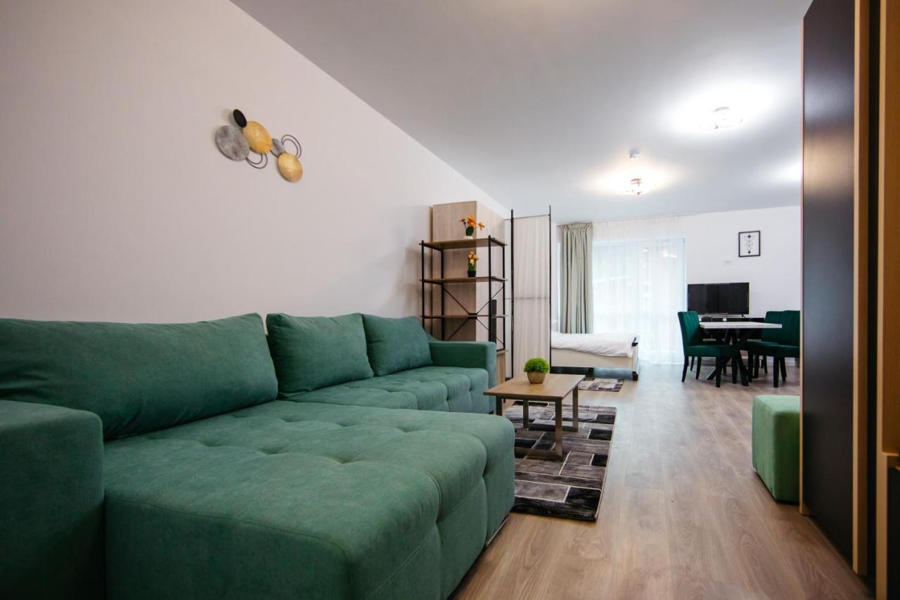 L&V Family Studio Apartment Sinaia Exterior photo