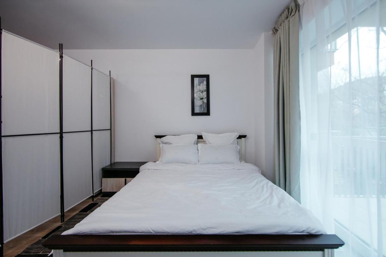 L&V Family Studio Apartment Sinaia Exterior photo