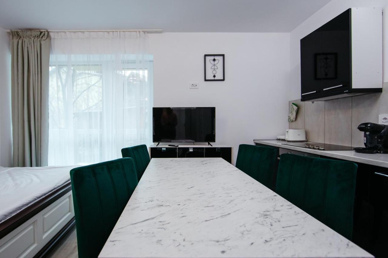 L&V Family Studio Apartment Sinaia Exterior photo